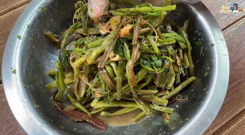 ผักดอง