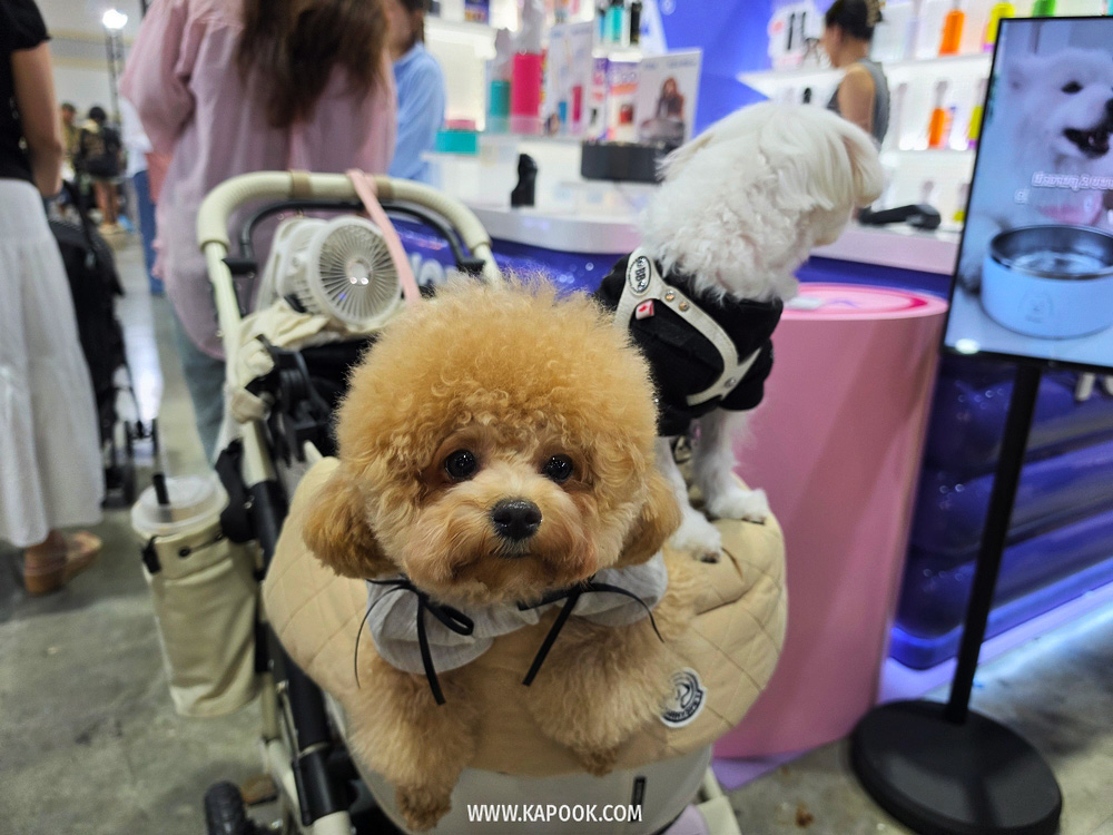 งาน Pet Expo Championship 2026