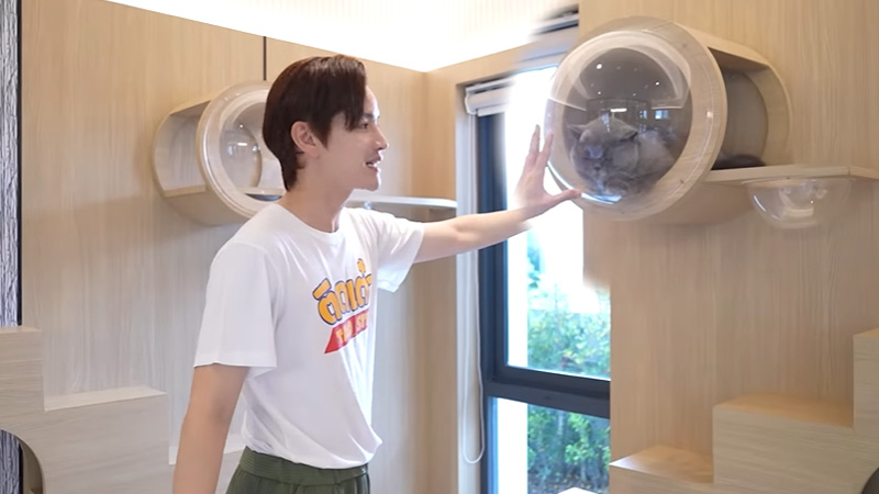 ห้องแมว บ้าน เต๋า เศรษฐพงศ์