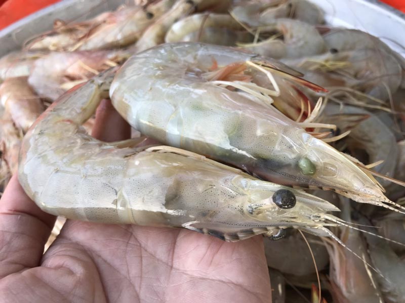 กุ้งราดซอสมะขาม