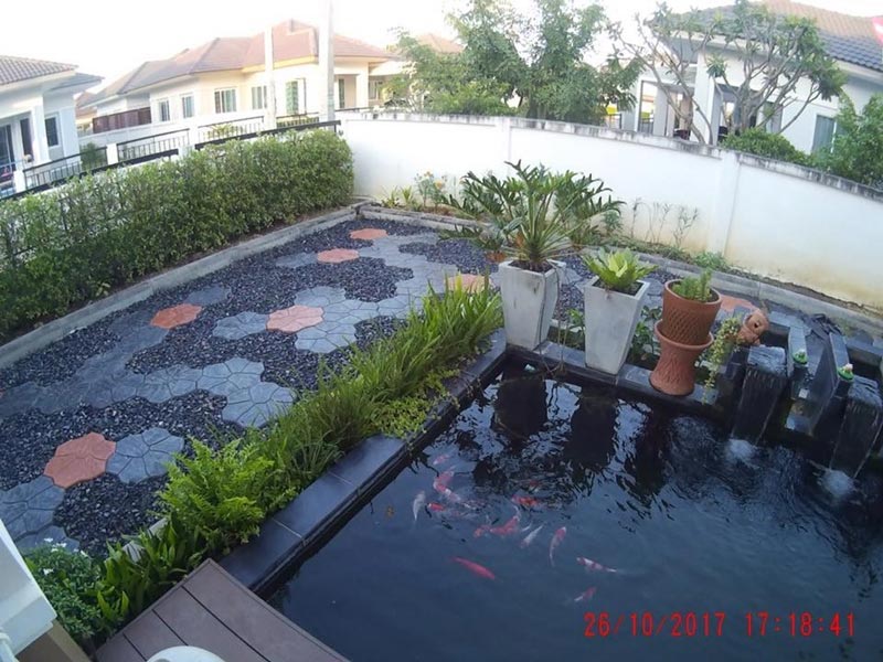 จัดสวนเอง