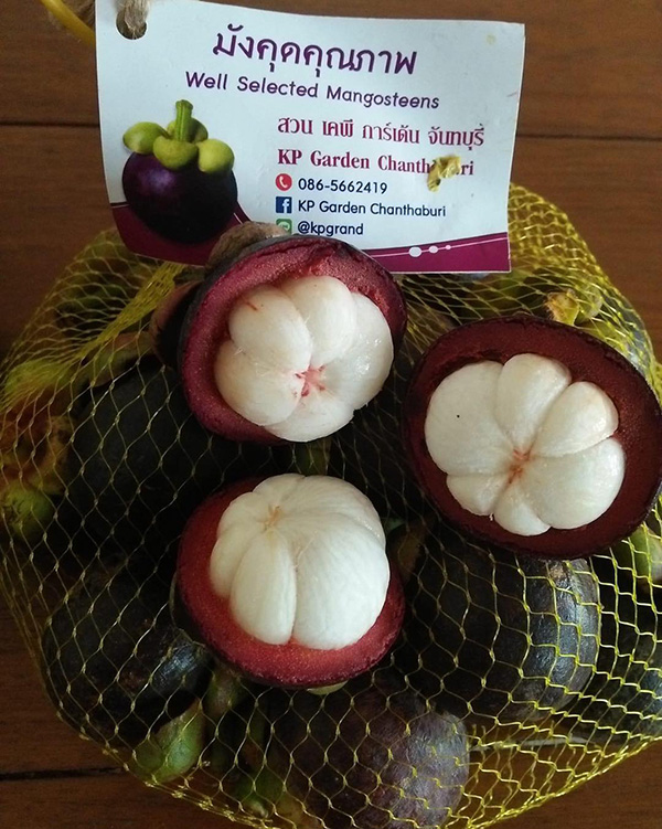 สวนผลไม้