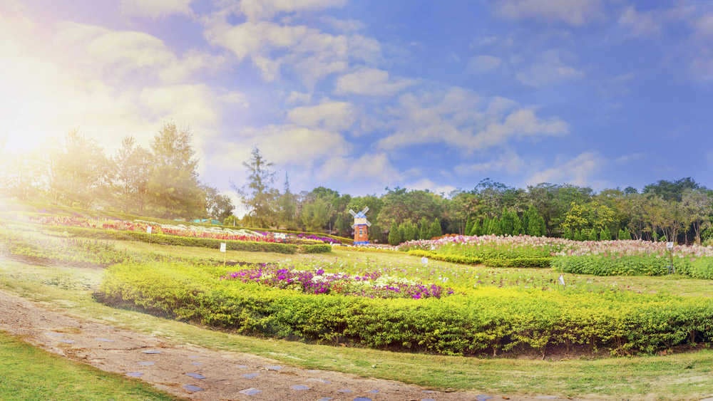ที่เที่ยวหน้าหนาว