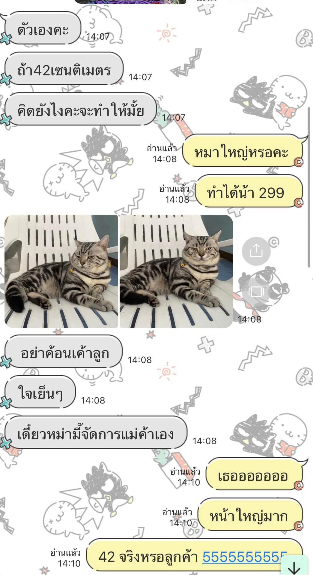 ปลอกคอแมว