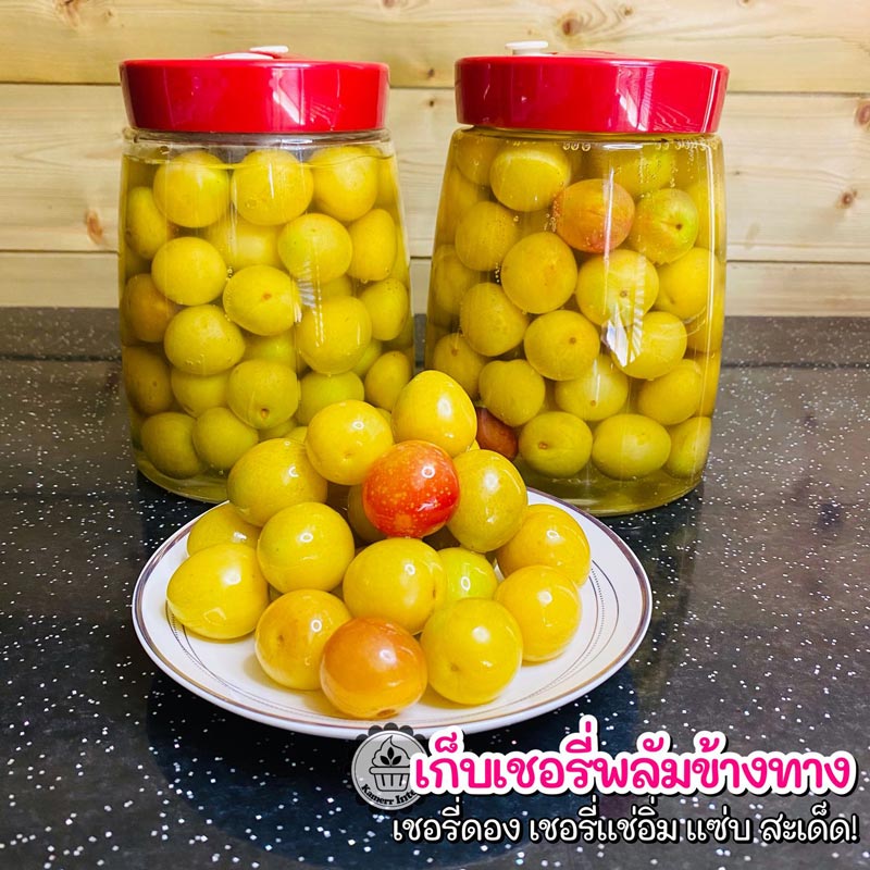 เชอร์รีพลัมดอง