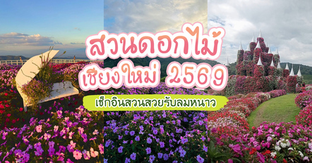 สวนดอกไม้เชียงใหม่ 2569 รวมพิกัดสวนสวยรับลมหนาว