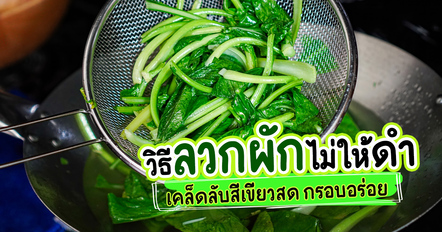 วิธีลวกผักไม่ให้ดำ สีเขียวสด กรอบน่ากิน พร้อมเทคนิคลวกผักให้อร่อย