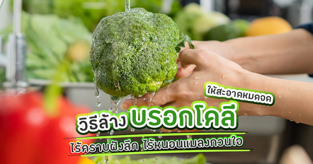วิธีล้างบรอกโคลีให้สะอาดหมดจด ไร้คราบฝังลึก ไร้หนอนแมลงกวนใจ