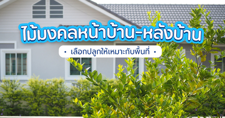 ปลูกไม้มงคลตรงไหนดี ? เปิดความหมายต้นไม้หน้าบ้านและหลังบ้าน