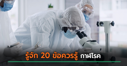 หมอเจด เปิด 20 ข้อควรรู้เรื่องกาฬโรค หลังมีข่าวแล็บรัสเซีย รุนแรงแค่ไหน ย้ำอย่าเพิ่งแพนิก