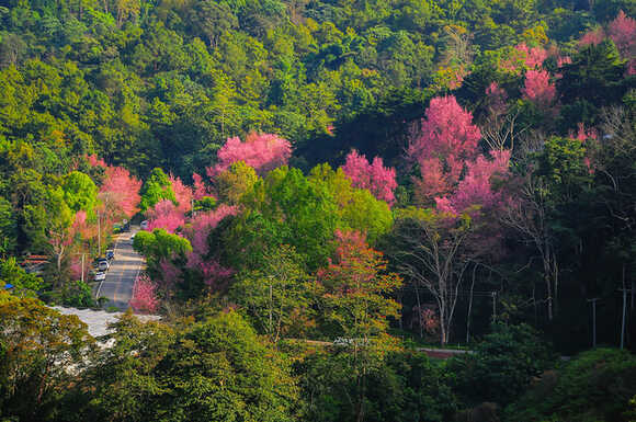 อุทยานแห่งชาติขุนสถาน