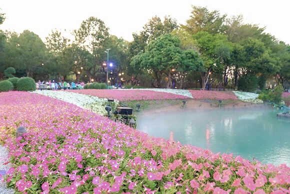 งานมหกรรมไม้ดอกอาเซียนเชียงราย 2025