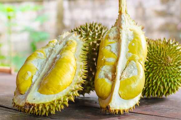 ทุเรียน