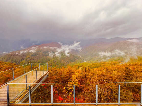 ฮาคุบะ (Hakuba) ญี่ปุ่น ระเบียงชมวิว Hakuba Mountain Harbor
