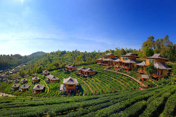 ลีไวน์รักไทย รีสอร์ท