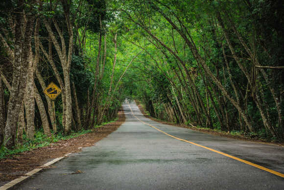 ทางอุทยานจำกัดให้รถขึ้นพะเนินทุ่งได้แค่รอบบ่าย และอนุญาตเฉพาะรถยนต์ขับเคลื่อน 4 ล้อที่มีจำนวนผู้โดยสาร 2 คนขึ้นไป