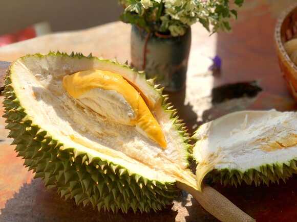 ทุเรียน