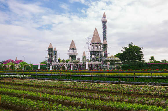 สวนเมเปิ้ล กาญจนบุรี 2569