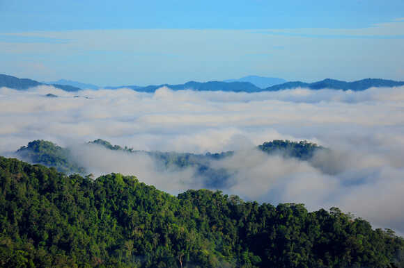 วิวทะเลหมอก รางวัลสำหรับนักท่องเที่ยวที่มาเขาพะเนินทุ่ง