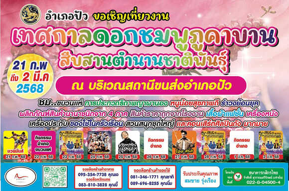 เทศกาลดอกชมพูภูคาบาน สืบสานตำนานชาติพันธุ์ ปี 2568 กำหนดการ