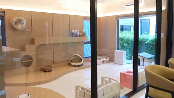 ห้องแมว บ้าน เต๋า เศรษฐพงศ์