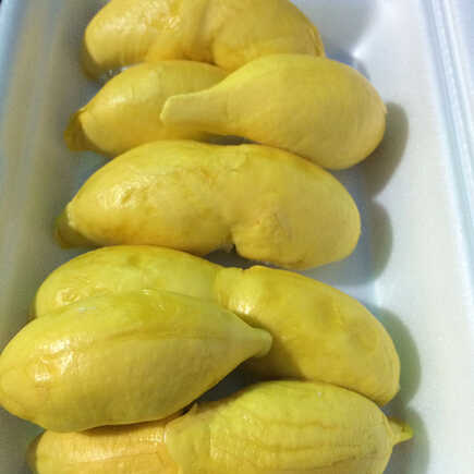 สวนทุเรียนบุฟเฟ่ต์ 2564