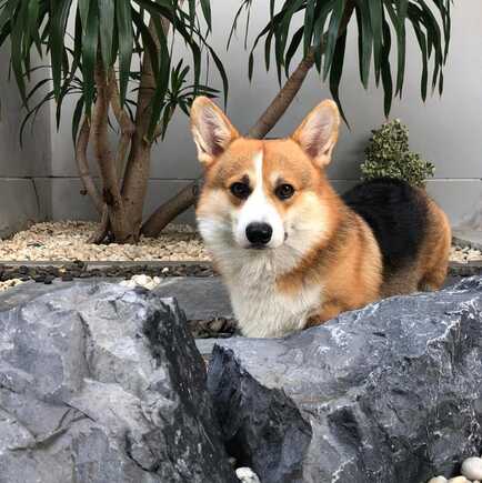 มาร์ช จุฑาวุฒิ