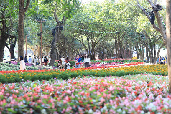 งานมหกรรมไม้ดอกอาเซียนเชียงราย 2025