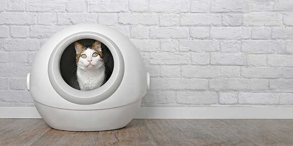 ห้องน้ำแมวอัจฉริยะ น่าซื้อ 2569
