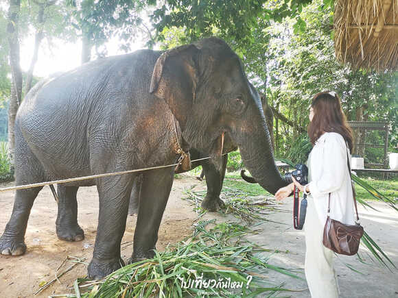 เที่ยวพิษณุโลก