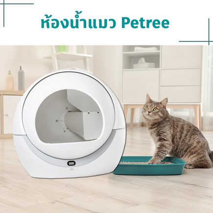 ห้องน้ำแมวอัตโนมัติ