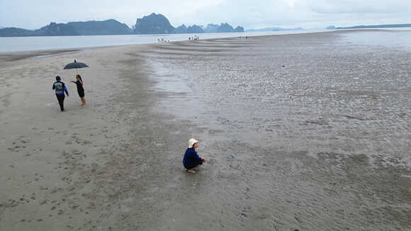 เกาะตั้งเลน พังงา ชมปูมดแดง