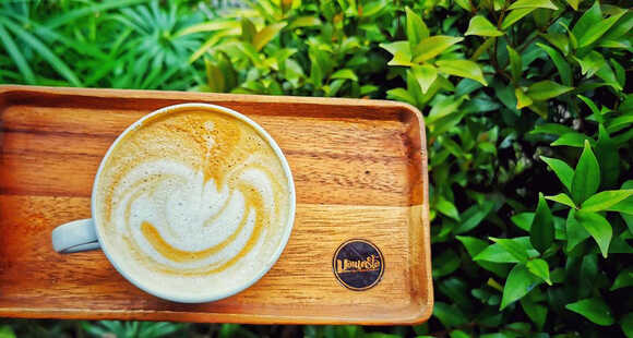 Monterio CoffeeCamp ภูทับเบิก ที่พักภูทับเบิก