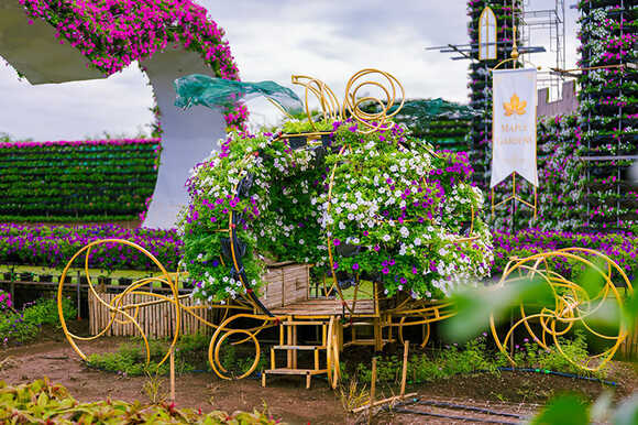 สวนเมเปิ้ล กาญจนบุรี 2569