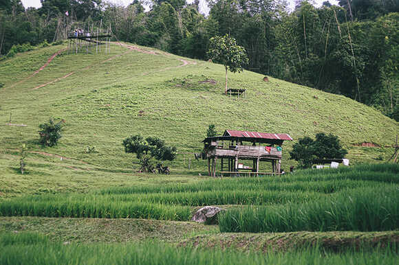 บ้านลิไข่ กระท่อม